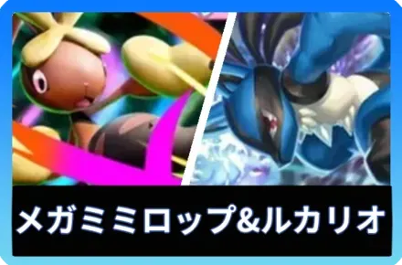 メガミミロップex＆ルカリオデッキ