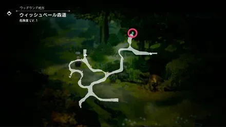 ウィッシュベール森道