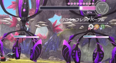 グロウンフレシアパープル