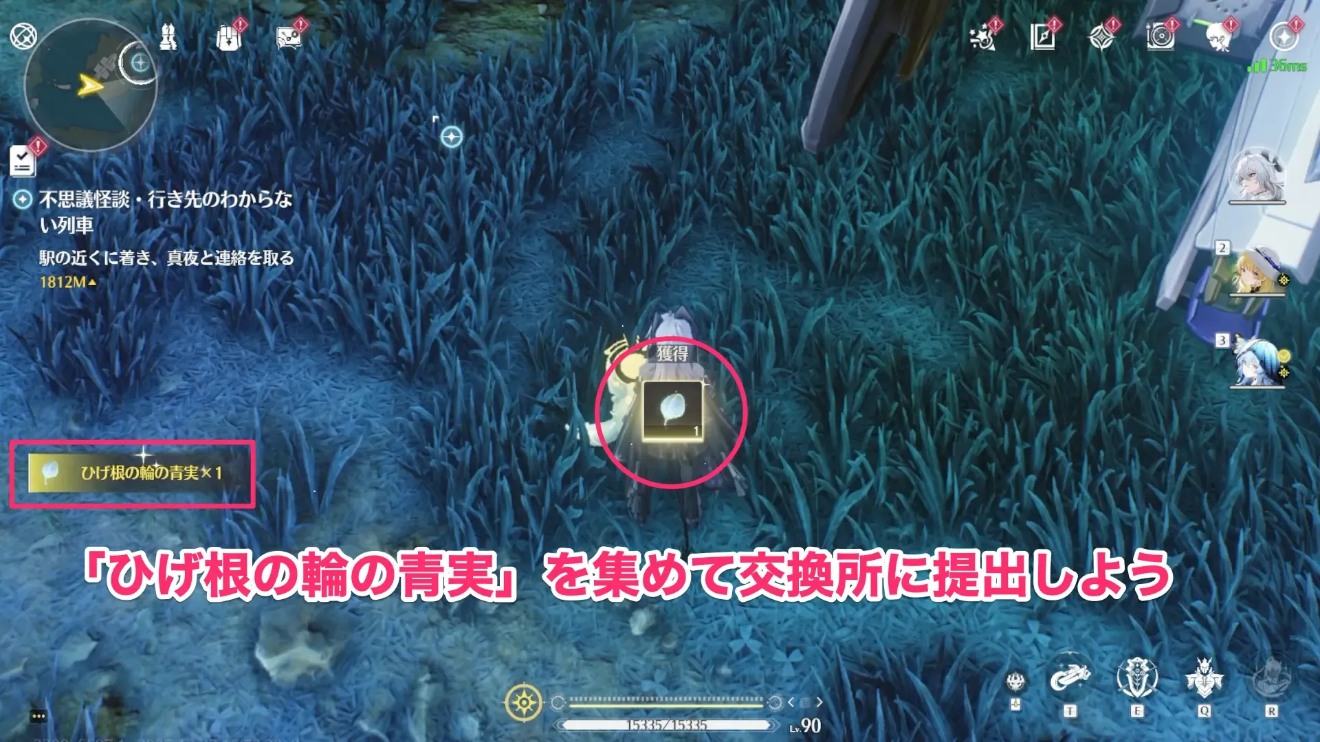 ひげ根の輪の青実