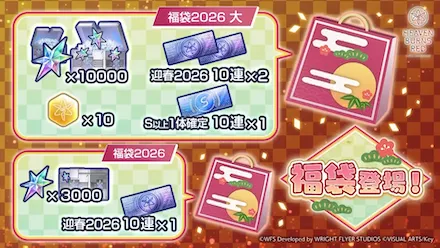 正月福袋2025は買うべき?