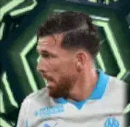 HPピエールホイビュア(01/01)画像