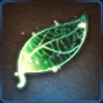 生命の葉の画像