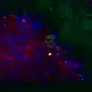 ドン・タヴィアーニ