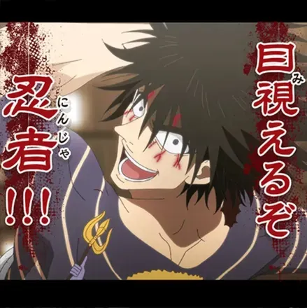 目視えるぞ忍者！！！