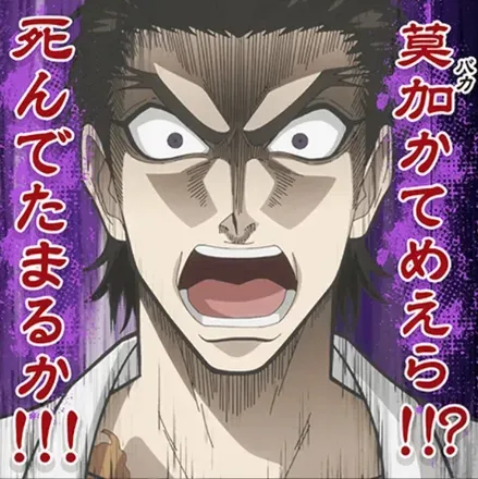 莫迦かてめえら！！？