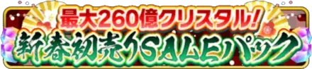 新春初売りSALEパックの画像