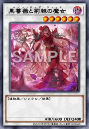 黒薔薇と荊棘の魔女画像