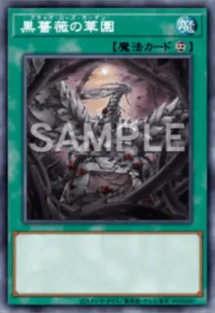 黒薔薇の華園画像