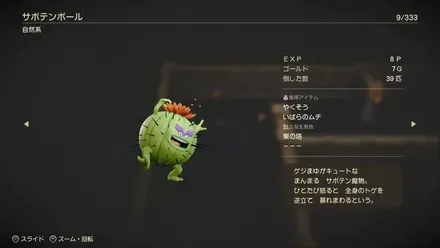 サボテンボール