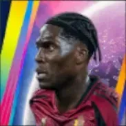 HPアマドゥ・オナナ(01/08)画像