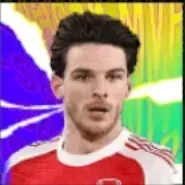 HPデクランライス(01/08)画像