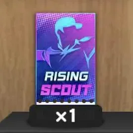 ライジングスカウトチケット