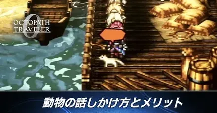 動物の話しかけ方とメリット