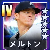 メルトン画像