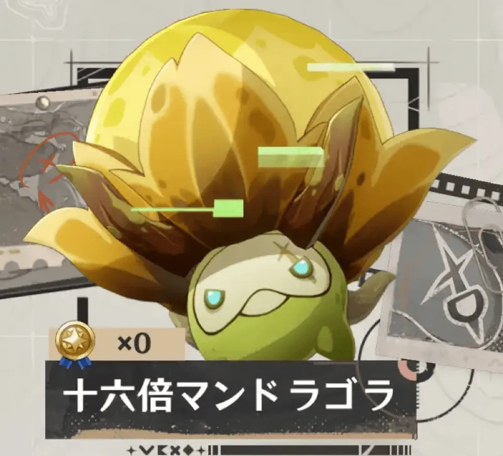 十六倍マンドラゴラ