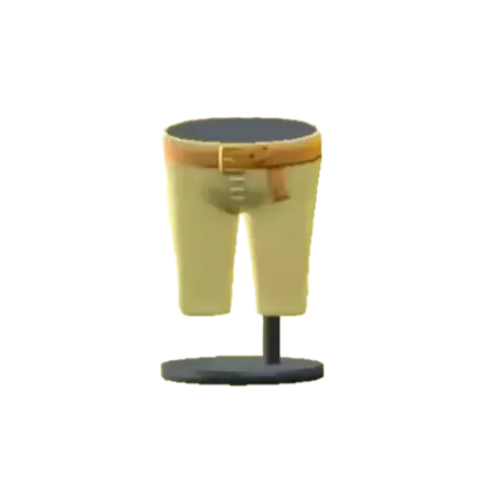 ハイリアのズボンの画像