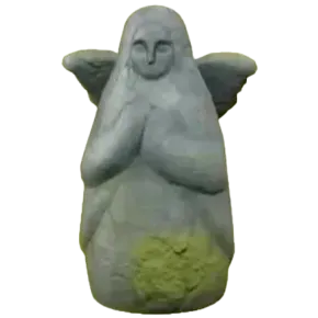 めがみぞう画像