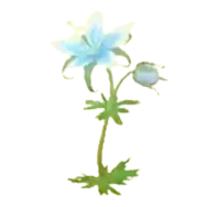 ひめしずか画像