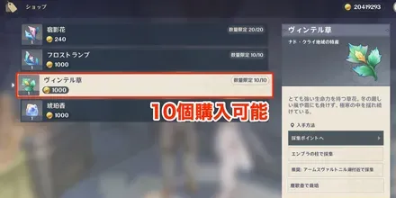 2回目のショップ