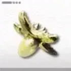 アケトンの種画像