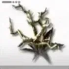 アケトン樹木画像