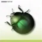 ホタルムシ画像