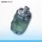 錦草ソーダⅠ画像