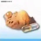 茨芽針粉薬画像