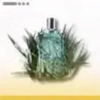 イェルシェのそよ風画像