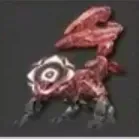 槍棘アンゲロスα画像