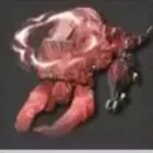 巨角アンゲロスα画像