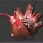 酸液オリジムシα画像