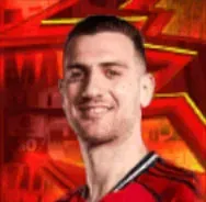 HPディオゴダロト(01/15)画像