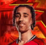 HPレニ・ヨロ(01/15)の画像