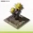 サンドリーフ畑画像