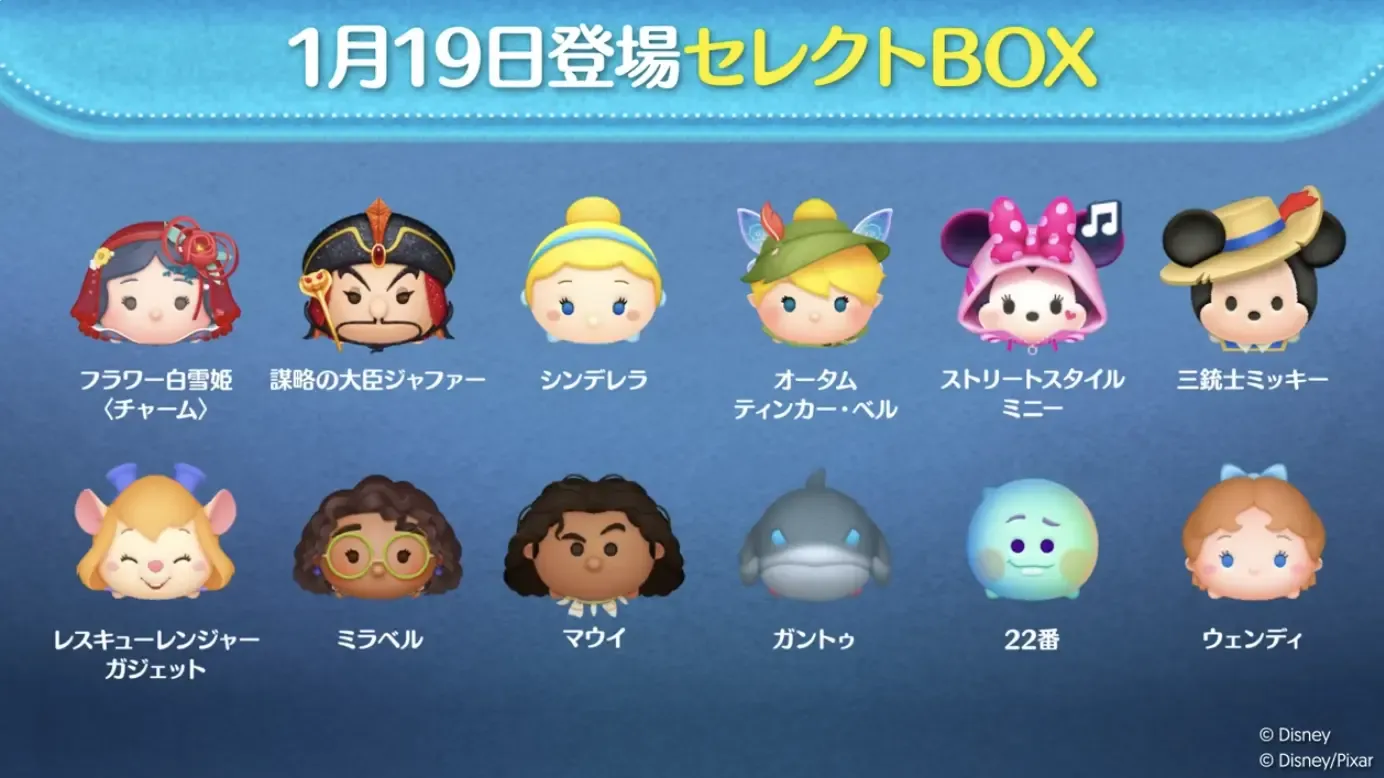 セレクトボックス