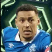 HPジェームズタヴァーニア(01/19)画像