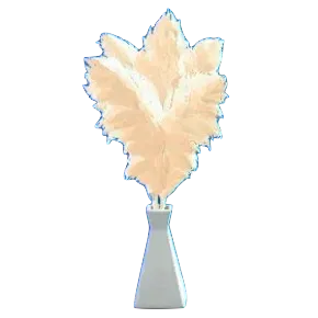 パンパスグラスのホワイトの画像