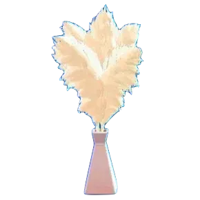 パンパスグラスのピンクの画像