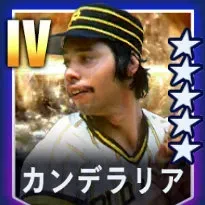 カンデラリア画像