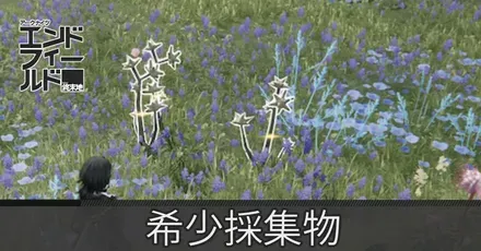 採取物アイキャッチ
