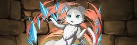 【13306】パック