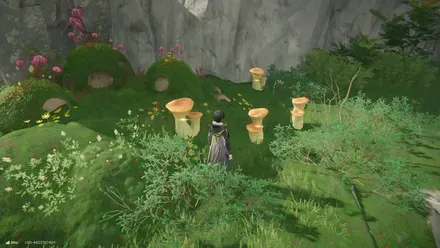 希少採集物-谷地通路1画像