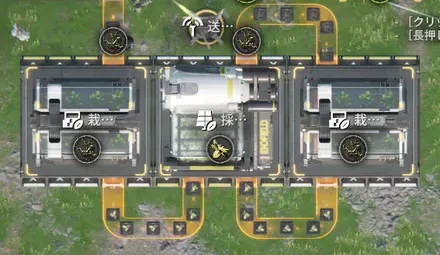 アケトン樹木を大量生産