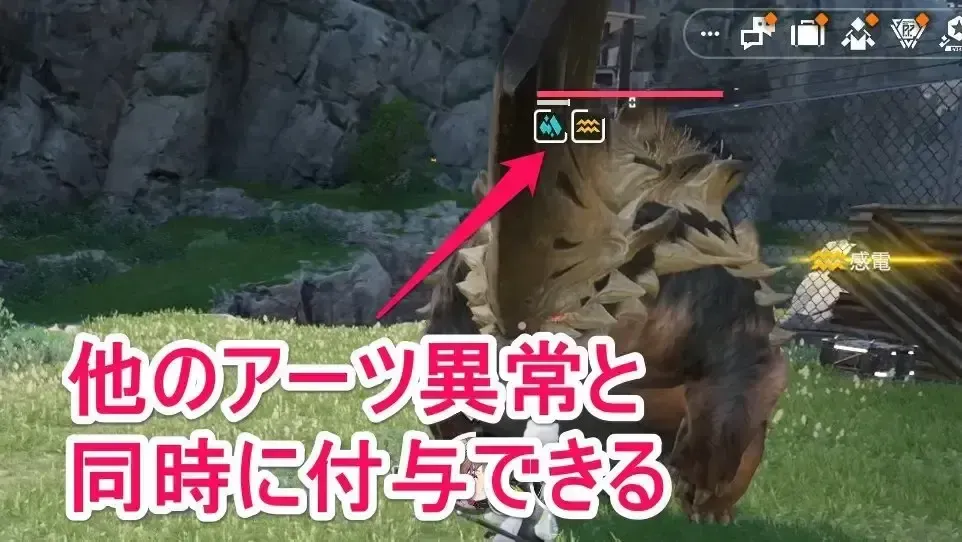 ペリカ異常は同時に付与できる