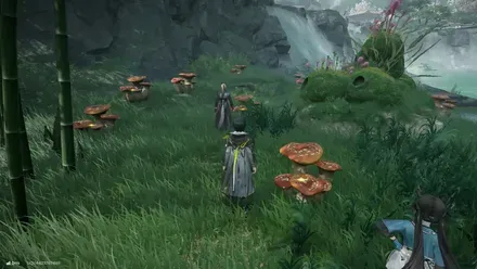 希少採集物-景玉谷3画像