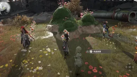 希少採集物-エネルギー高地3画像