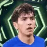 HPマリオマルティン(01/26)画像