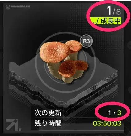 リポップ数増加